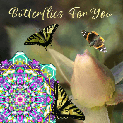 Butterflies for you layered with the Essence Mandala "Thank You", a November rose, shimmers of sunlight on Peacock Ore and butterflies - all created, captured, curated and combined by Teresa Deak.