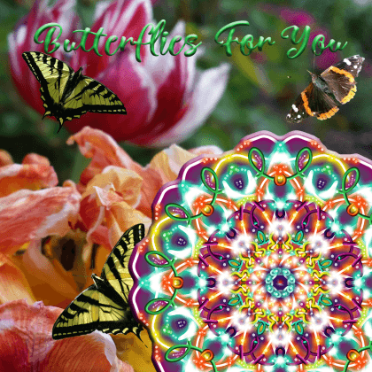 Consolation Essence Mandala with butterflies and tulips.