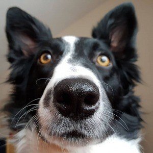 Monday, December 12, 2016