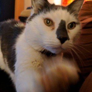 Monday, January 30, 2017