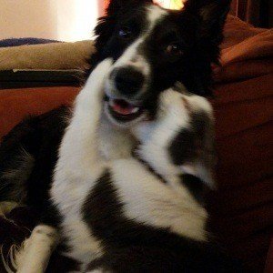 Monday, January 30, 2017