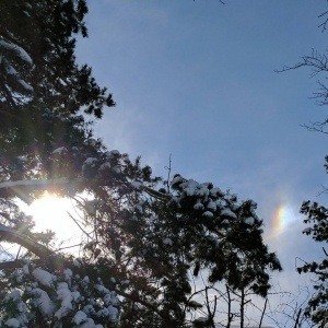 Monday, February 6, 2017