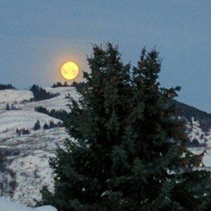 Saturday, February 11, 2017