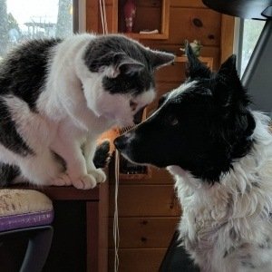 Tuesday, February 14, 2017