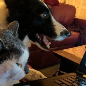 Thursday, February 16, 2017