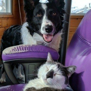 Tuesday, February 21, 2017