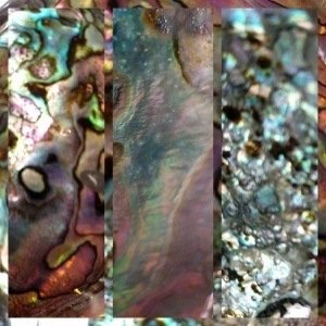 Wednesday, February 22, 2017