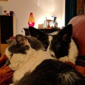 Monday, February 27, 2017