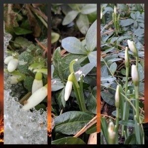 Saturday, March 4, 2017