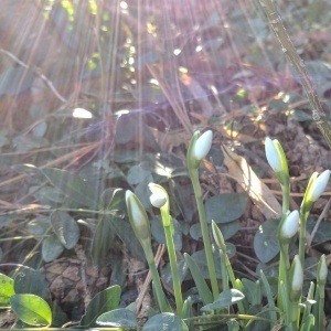 Tuesday, March 7, 2017