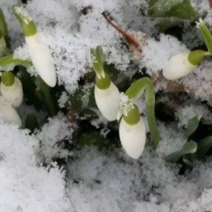 Thursday, March 9, 2017