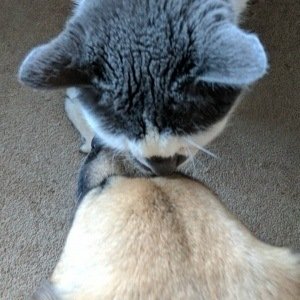 Sunday, March 12, 2017