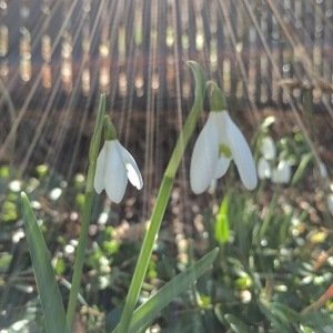 Saturday, March 18, 2017