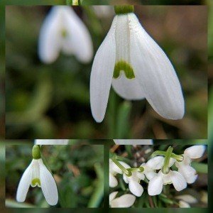 Wednesday, March 22, 2017