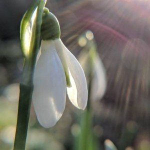 Saturday, April 1, 2017