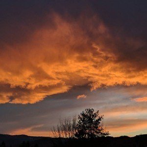 Sunday, April 2, 2017