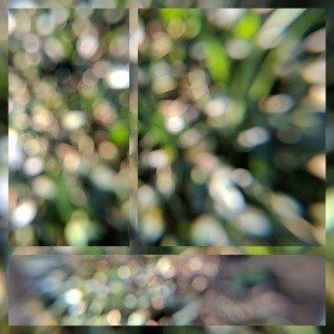 Monday, April 3, 2017