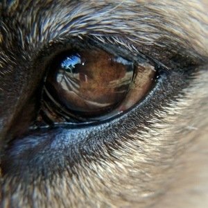 Monday, April 3, 2017