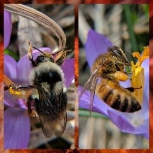 Monday, April 3, 2017