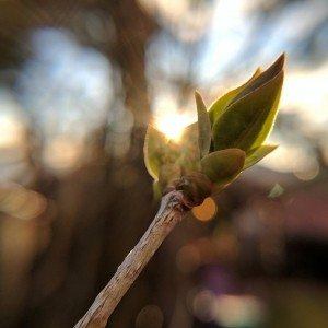 Sunday, April 9, 2017