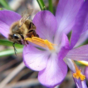 Tuesday, April 11, 2017