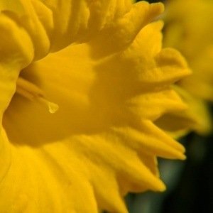 Friday, April 14, 2017