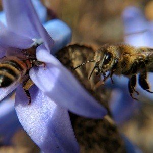 Sunday, April 16, 2017