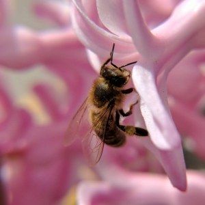 Monday, April 17, 2017