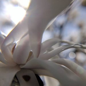 Wednesday, April 26, 2017