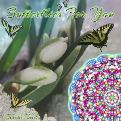 Butterflies sent with Gracious Community Essence Mandala - carrying uplifting energy to all who receive it!